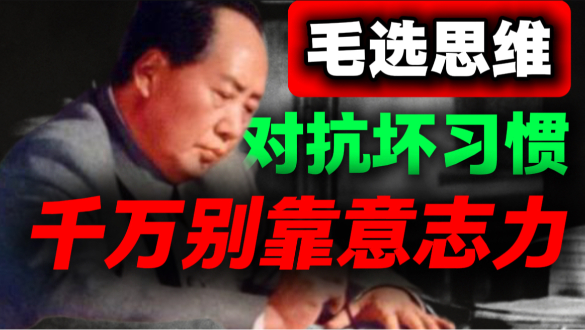 教员教你，用意志力对抗坏习惯，是最蠢的战略｜第41期｜毛选解读｜毛选思维