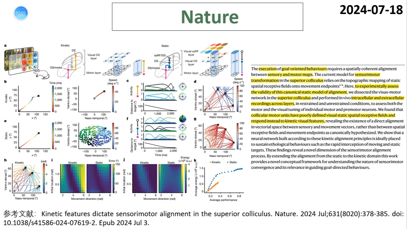 Nature—在目标导向行为中,感觉和运动是如何匹配的?哔哩哔哩bilibili