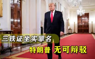 Descargar video: 两年前就为骚乱蓄力？特朗普三大新“罪证”曝光，共和党还敢救？