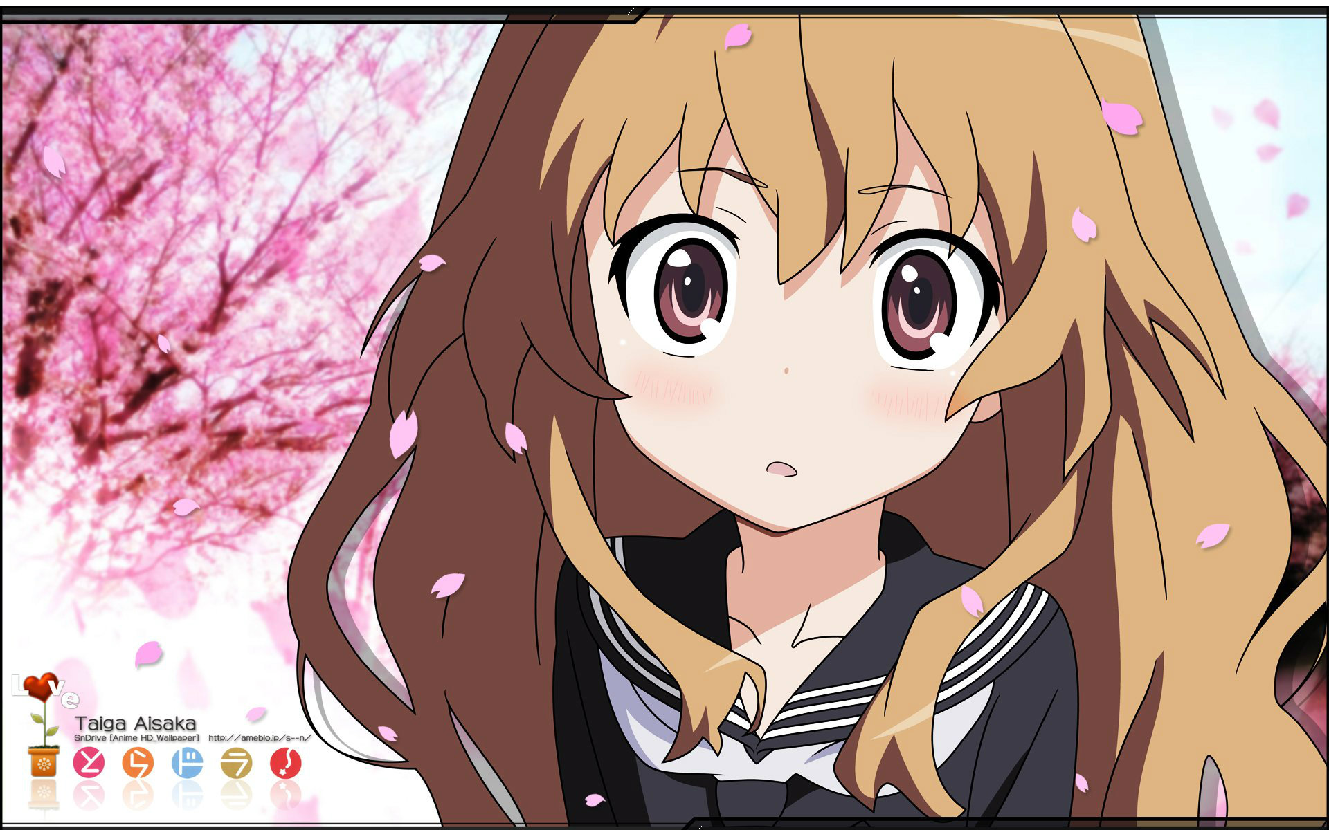 毕业再见谢谢但请不要忘记