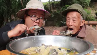 120元买一只土乌鸡，搭配竹荪一起煲汤，汤鲜肉嫩，越喝越想喝