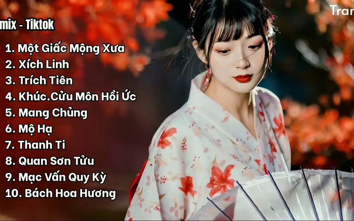 [图]Top 10 bản Remix nhạc cổ phong Hot Tiktok nghe là nghiện [Part 1]