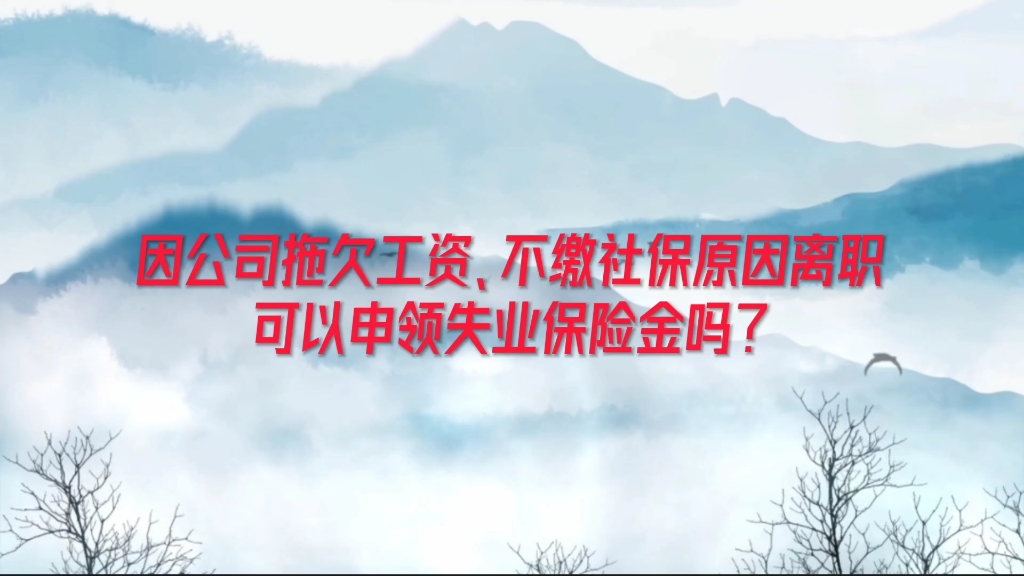 因公司拖欠工资、不缴社保原因离职,可以申领失业保险金吗?哔哩哔哩bilibili