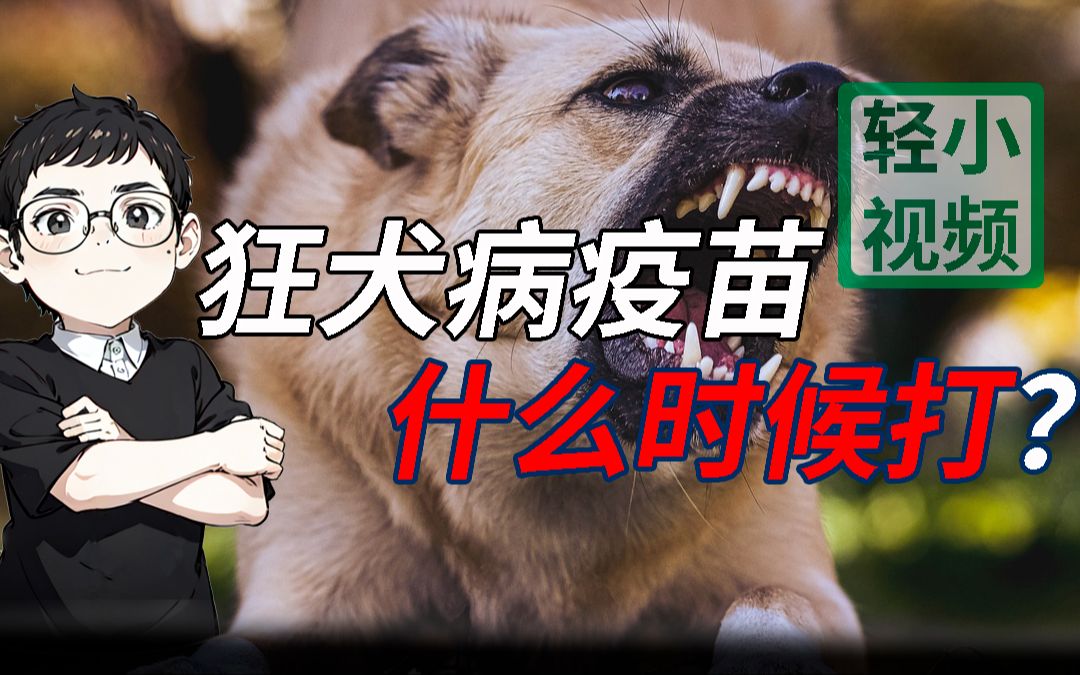 【免疫防护】狂犬病疫苗要不要打?什么时候打?哔哩哔哩bilibili