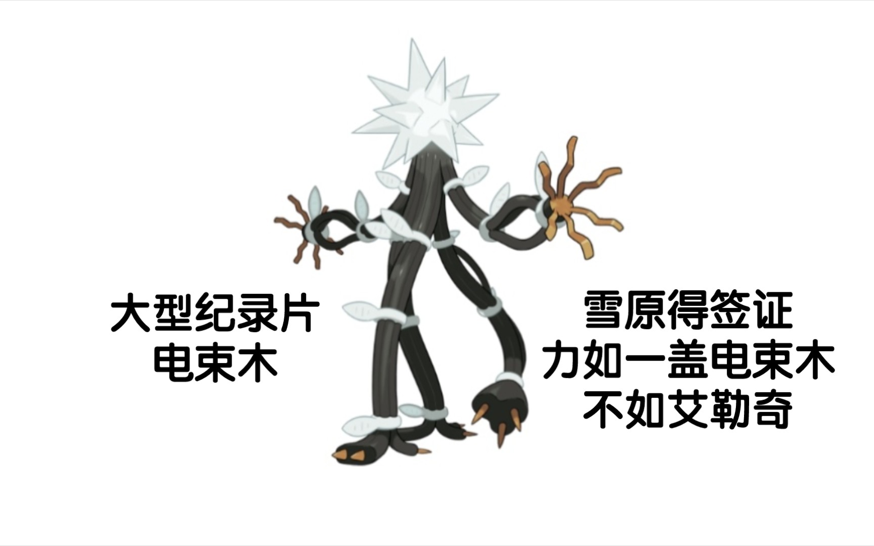 宝可梦大型纪录片——电束木传奇