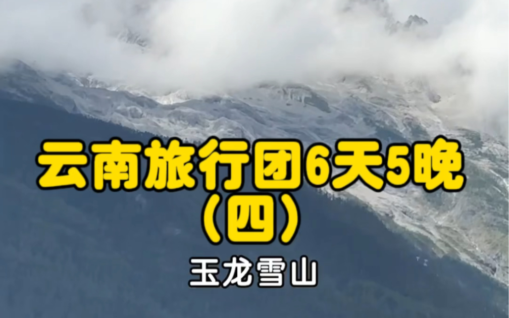 云南纯玩旅行团六天五晚第五天,行程即将结束.导游原形毕露,带客进店,制造焦虑,你经历过吗?哔哩哔哩bilibili
