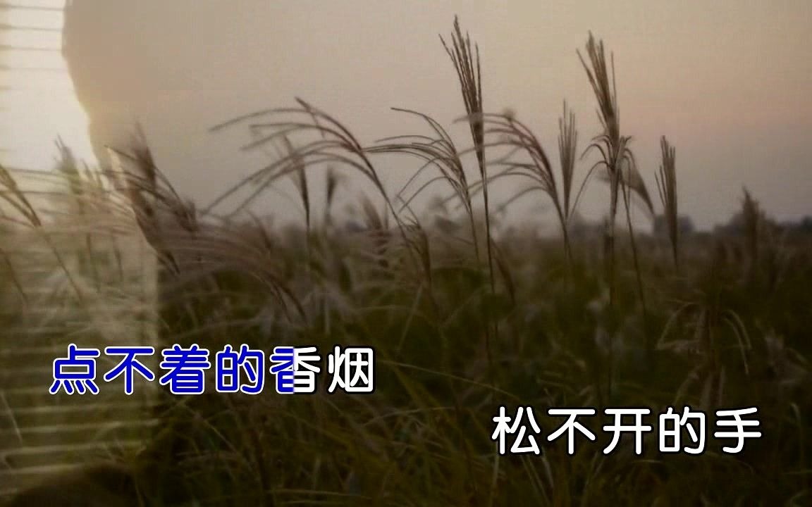 [图]拾贰《醒不来的梦》MTV-(HD)国语KTV完整版