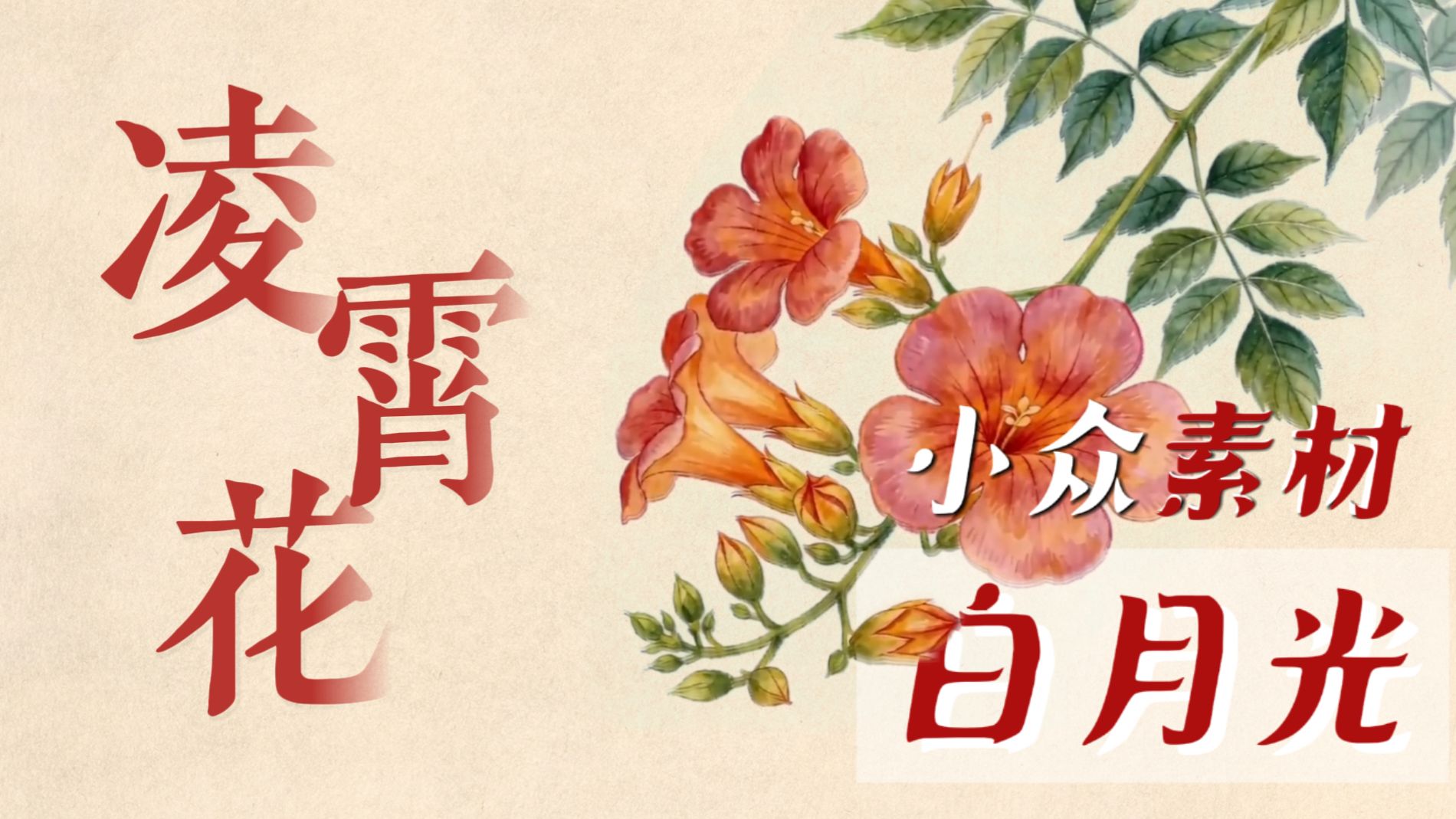 骗了多少高中生？被全网群嘲“攀援”的凌霄花，才是作文素材的白月光！