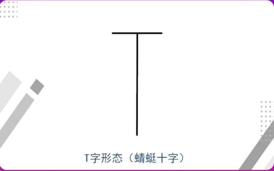 T字形态介绍哔哩哔哩bilibili