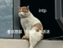 下载视频: intp的活人微死感