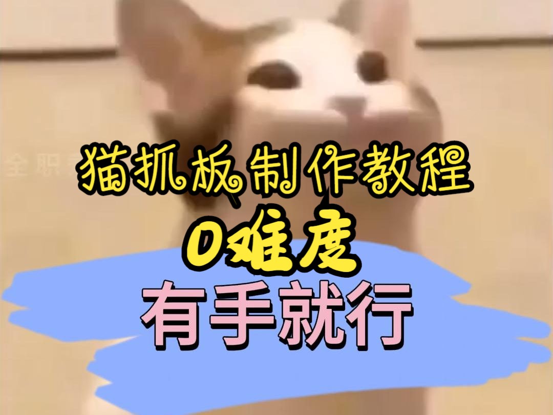 猫抓板0难度自制教程(有手就会)