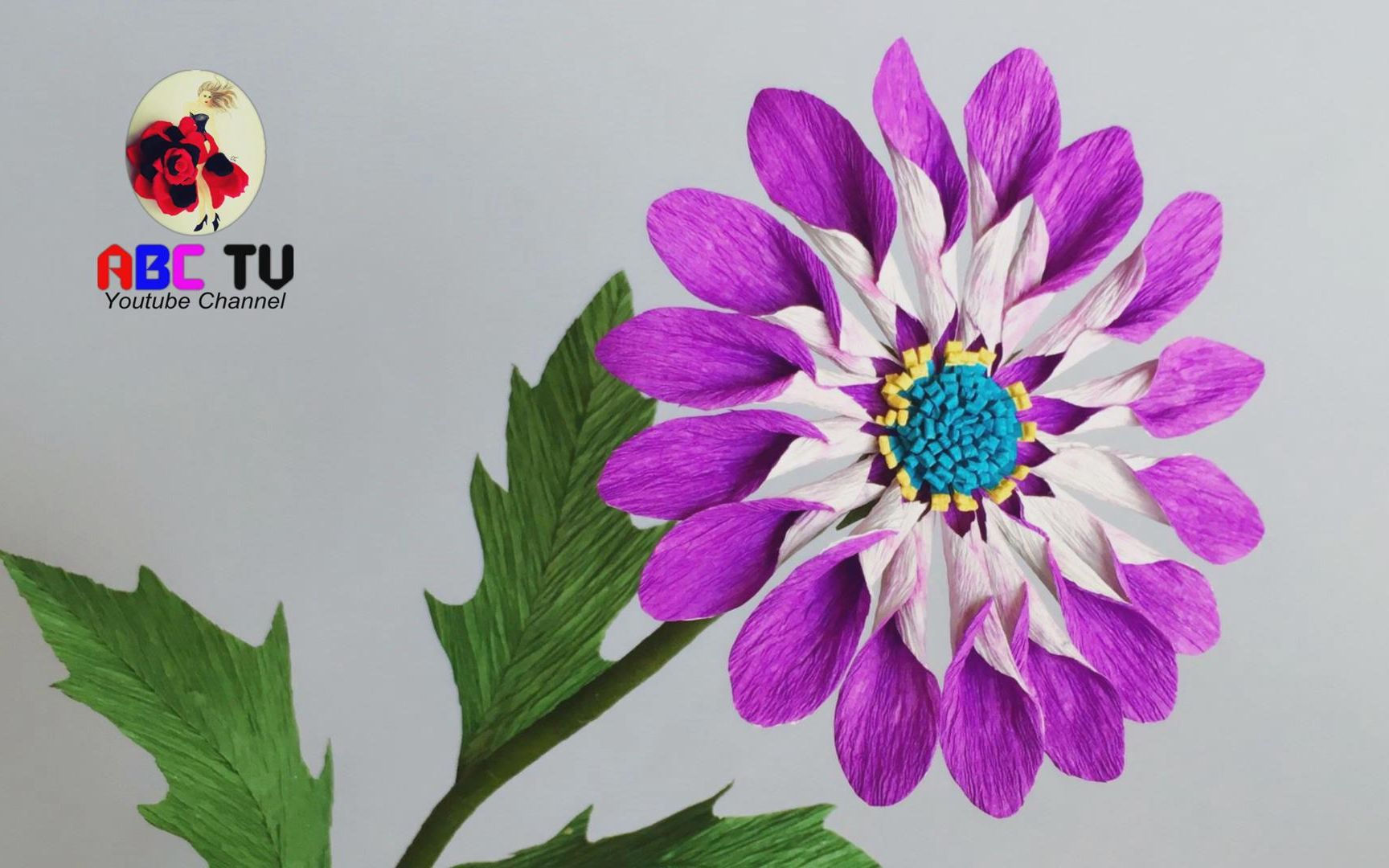 abc tv  皱纹纸花艺 非洲雏菊