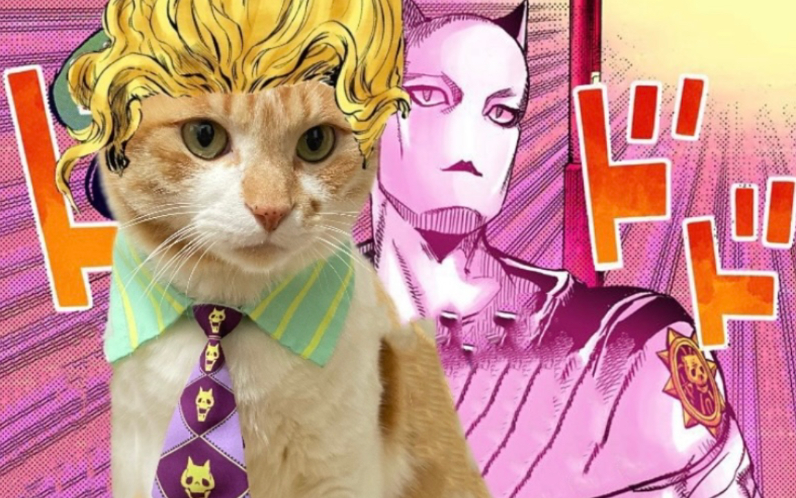 活动  当猫戴上吉良吉影的领带