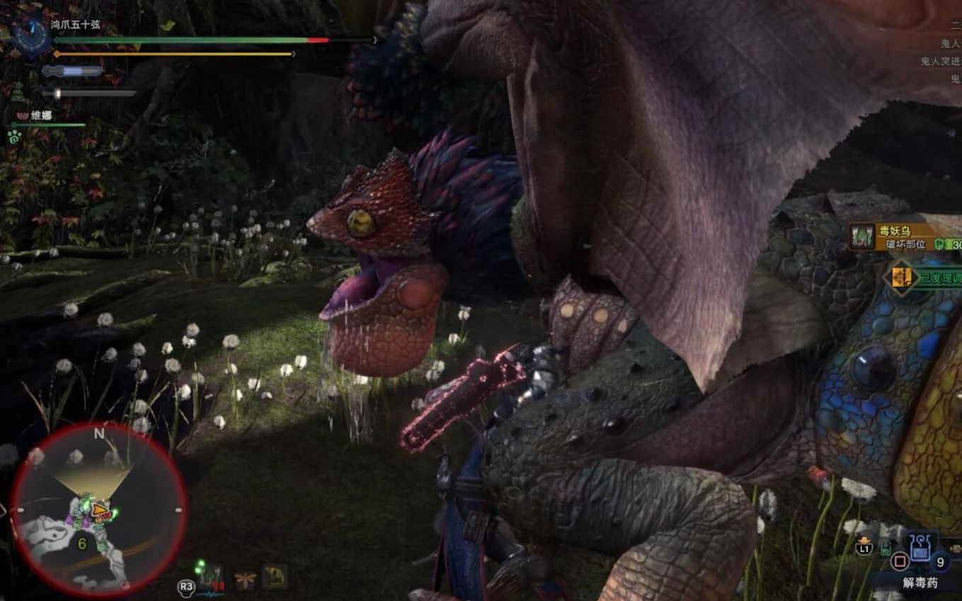 【mhw】双剑 上位毒妖鸟 55791 开荒 新手技术