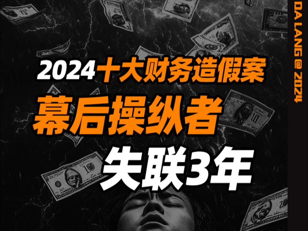 2024十大财务造假案,幕后操纵者,失联3年哔哩哔哩bilibili