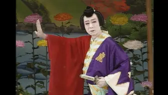 歌舞伎 菊晴勢若駒出演 中村児太郎中村国生 現 橋之助 中村宗生 現 福之助 哔哩哔哩 Bilibili