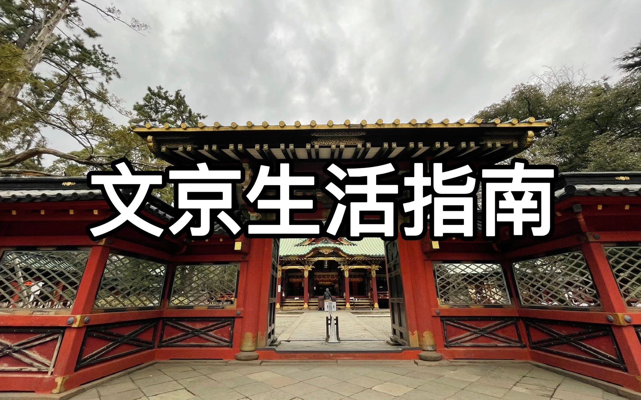 [图]东京二十三区--文京区| 日本求合格最灵的神社「汤岛天满宫」| 东京最便宜的海鲜市场| 根津神社