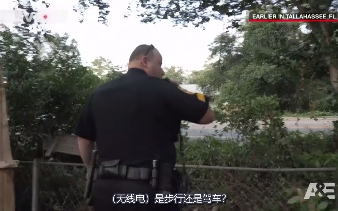 【美警小剧场/纪实】抄小路专家(中字)哔哩哔哩bilibili