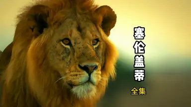 赤壁母狮