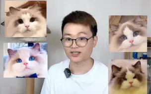 Video herunterladen: 全网最美的布偶猫们