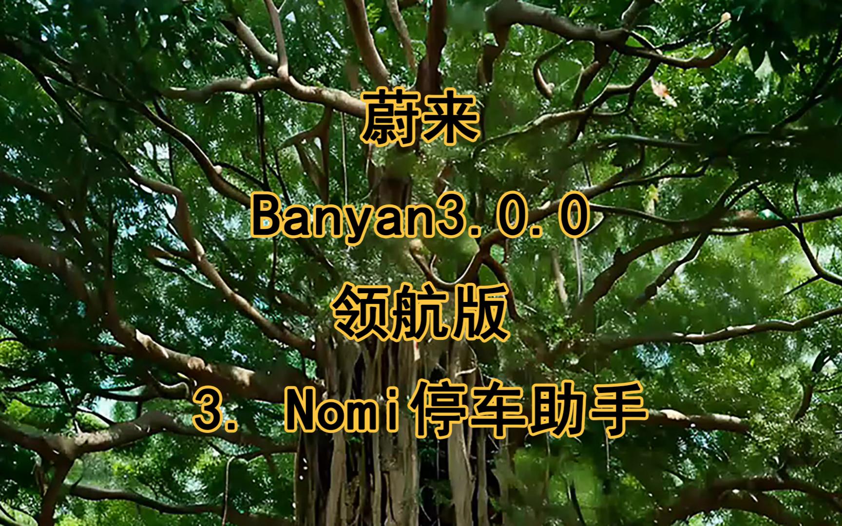 蔚来Banyan3.0.0领航版抢先体验 3. Nomi停车助手 #蔚来 #Banyan #领航团 #花式体验蔚来AI座舱 #新能源哔哩哔哩bilibili