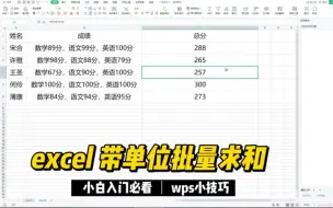 Download Video: Excel  带单位批量求和-wps小技巧