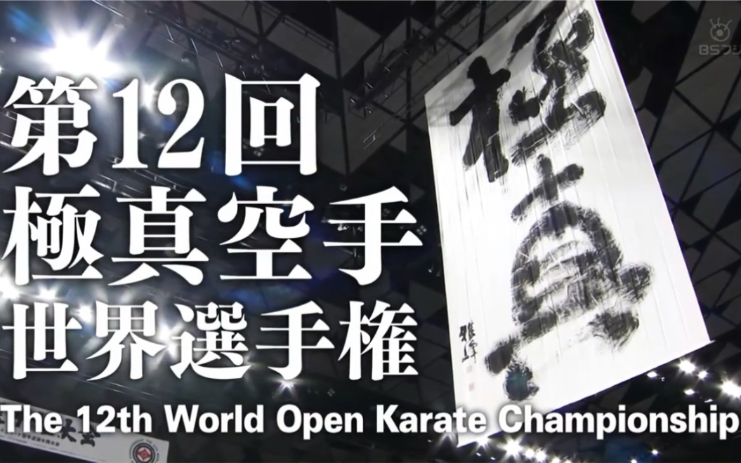 【比赛实况】《16年的王座夺还》2019年第12回全世界空手道选手权大会 TV转播版 IKO1 极真会馆(松井派)空手道哔哩哔哩bilibili