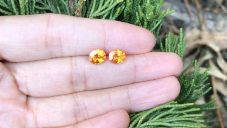 可盐可甜精品芬达石耳钉来了约吗