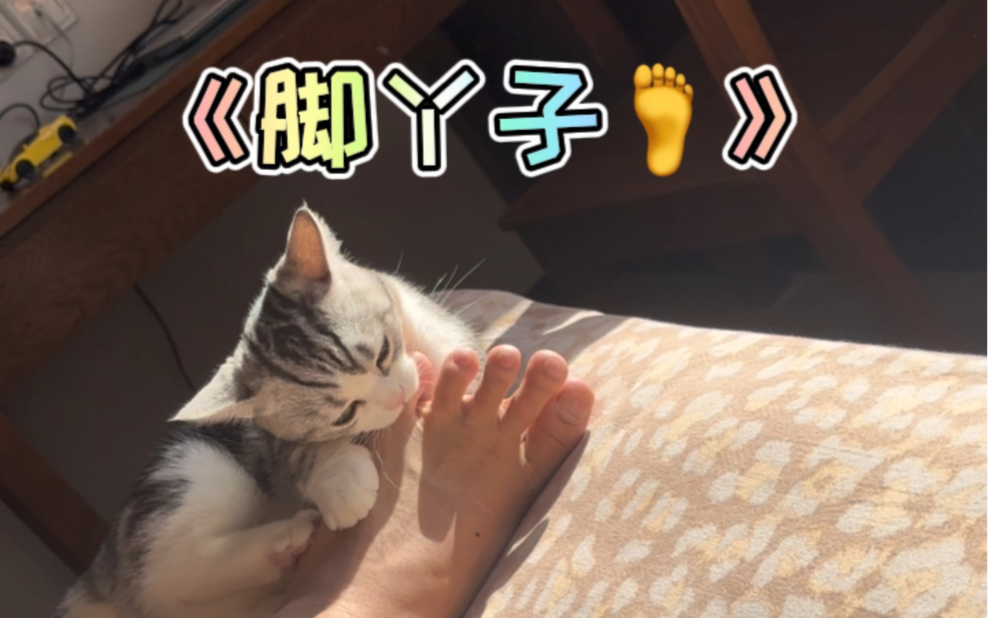 今天一定要舔脚丫子!不让我舔就舔你的!