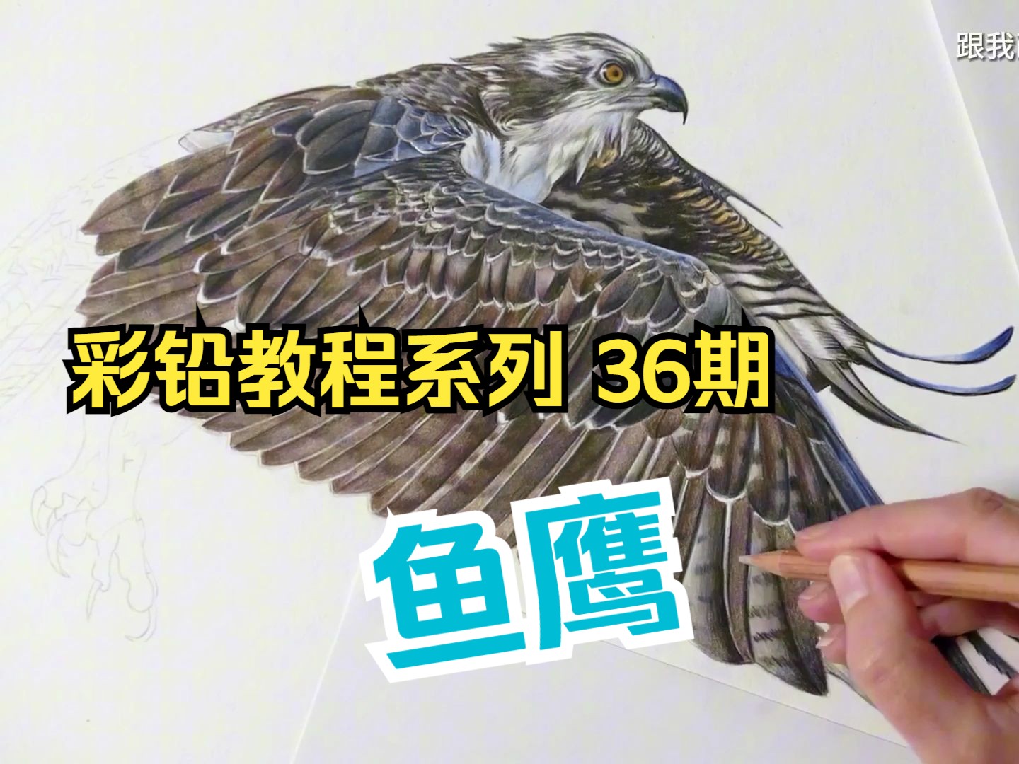 【跟我画】彩铅画教程·系列36期