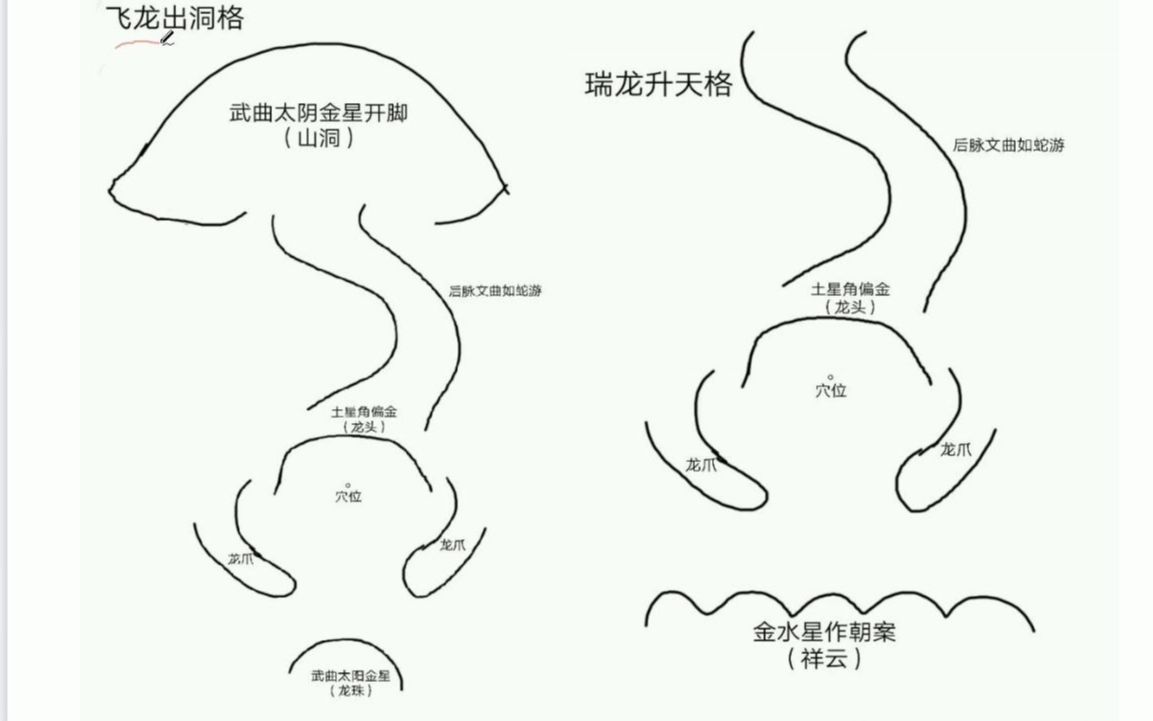 动物形象风水喝形图片