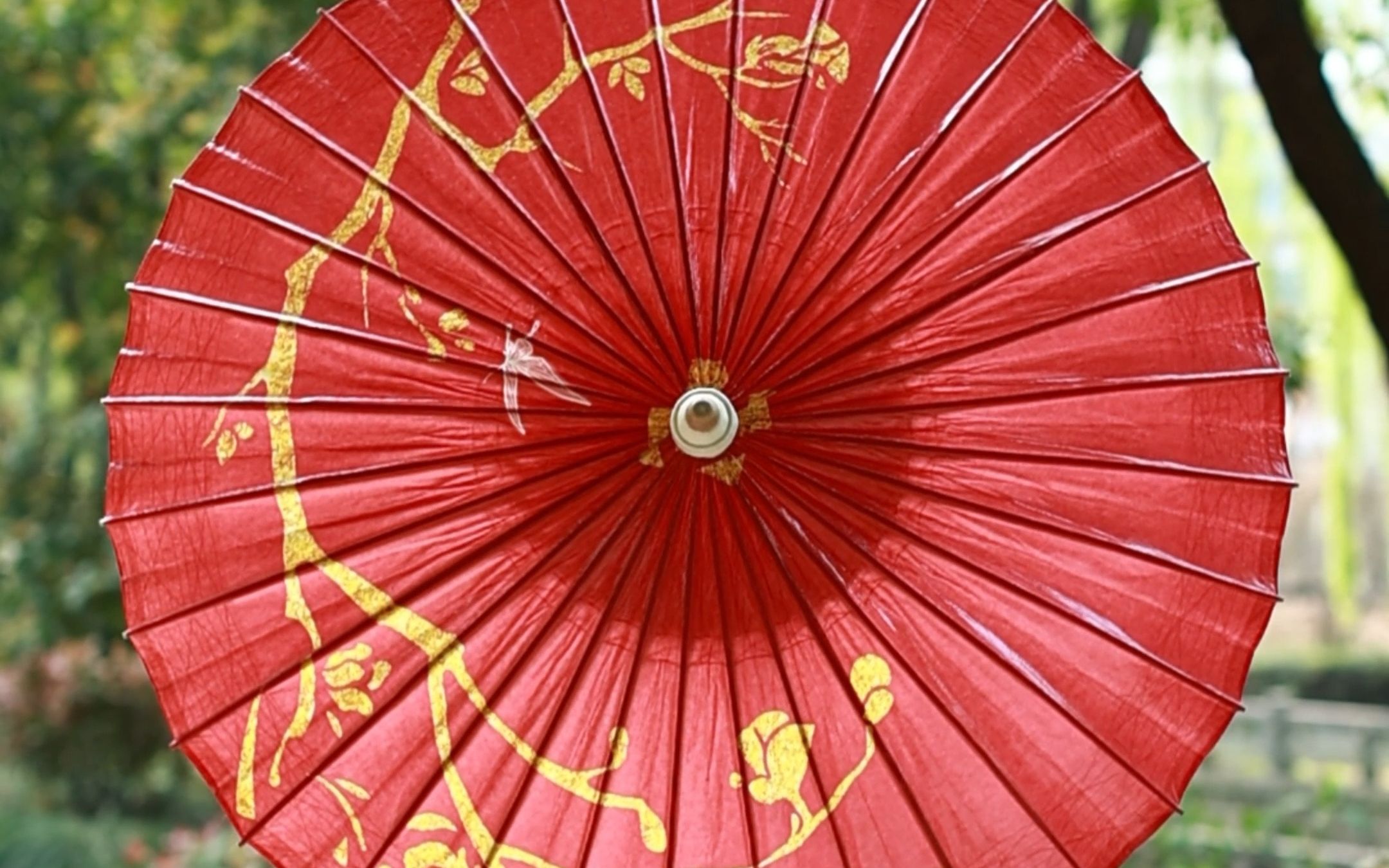 [图]粉丝找我定制了一把花城的伞，她说“栉风沐雨，执伞为安”