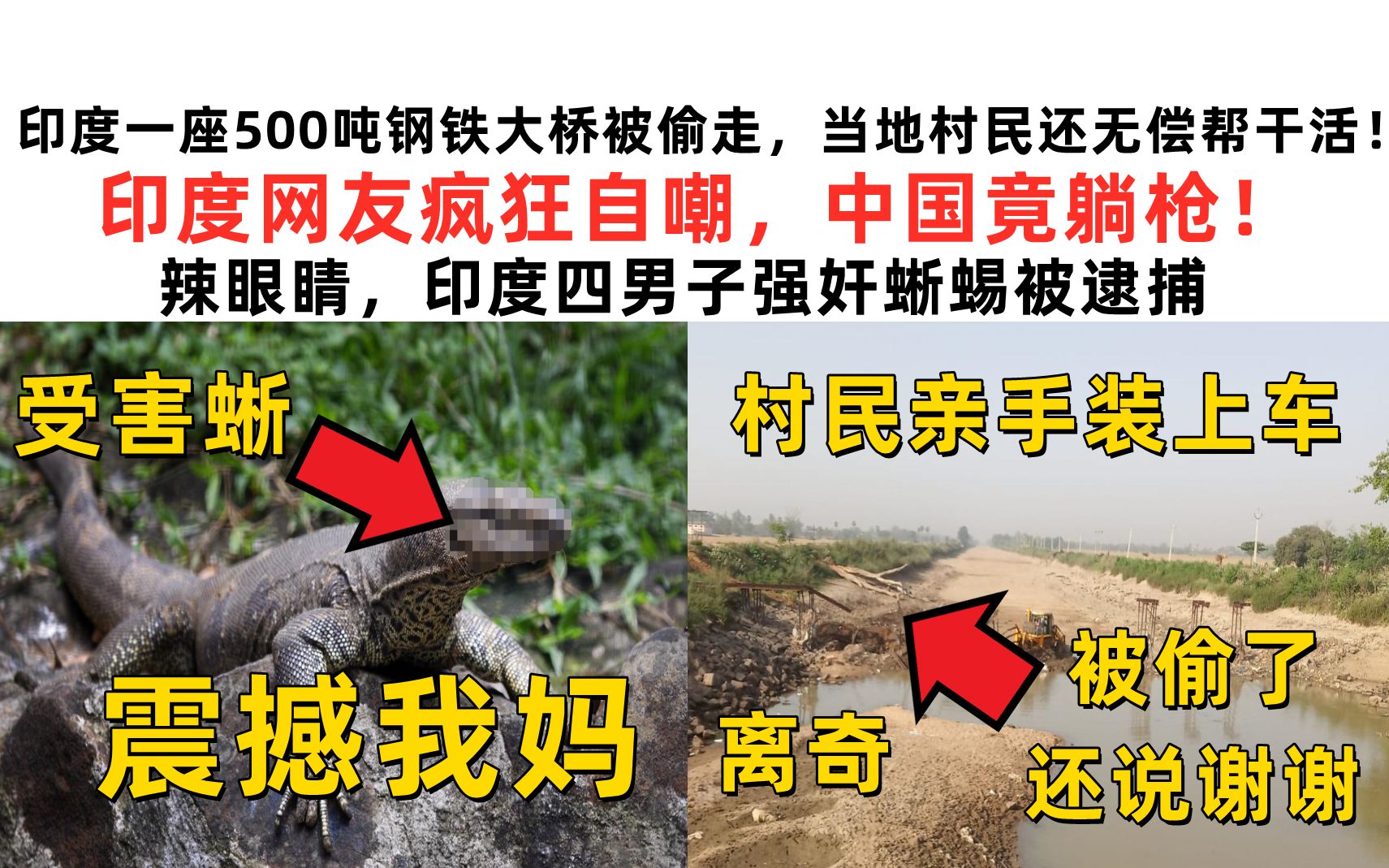 印度一座500吨钢铁大桥被偷走,还是当地村民无偿帮干的…中国躺枪,印网友疯狂自嘲!四名印度男子性侵巨蜥轰动全球!网友:震撼我妈!【速报吐槽】...