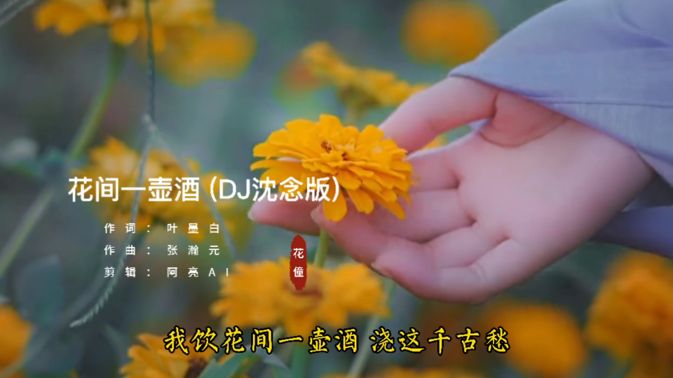 [图]花僮 - 花间一壶酒 (DJ沈念版)，我饮花间一壶酒，浇这千古愁。