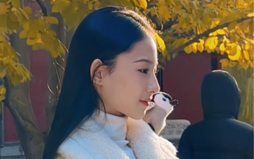 女鹅新鲜日常两则～-古金灵-古金灵-哔哩哔哩视频