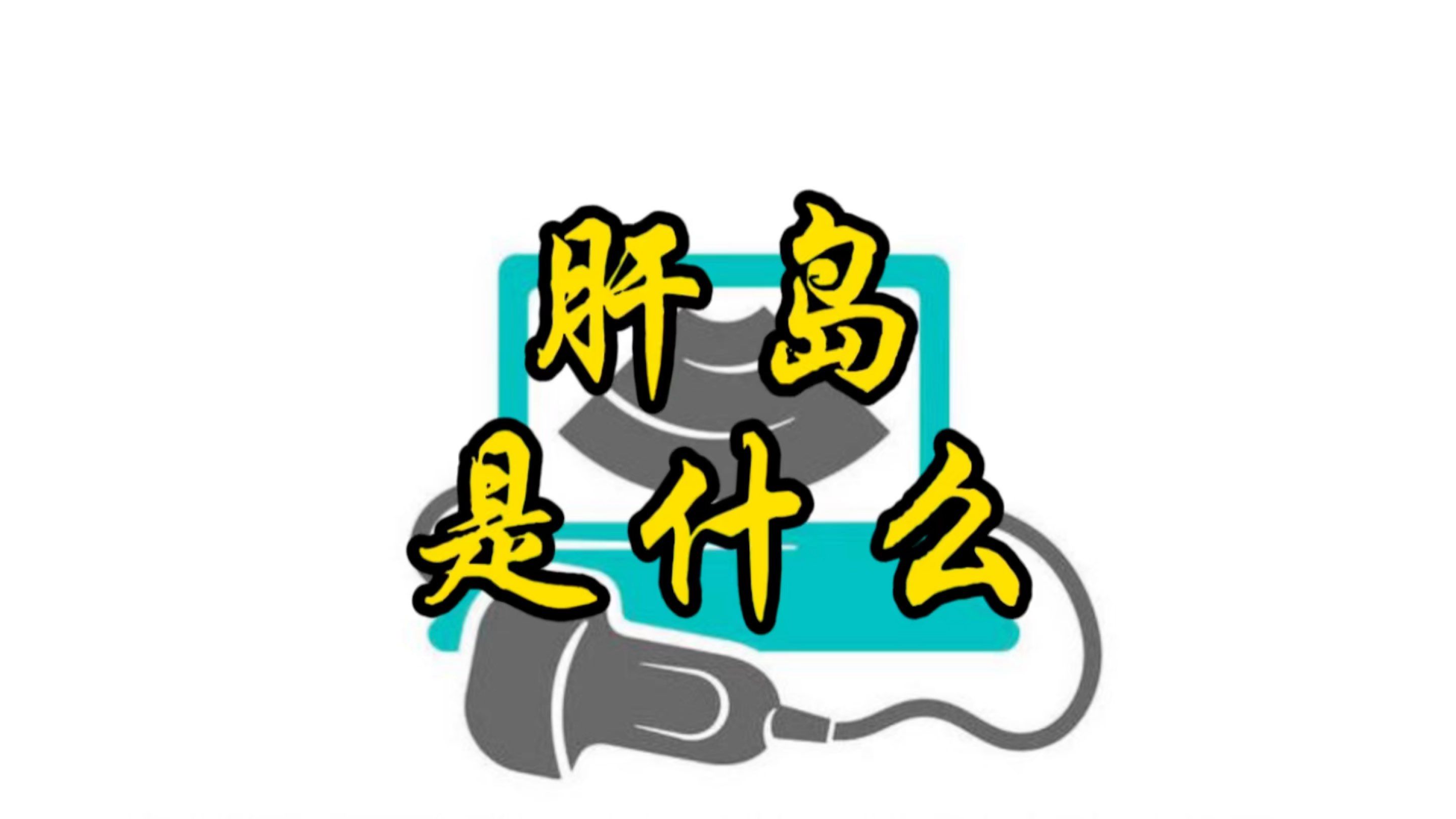 肝岛是什么?哔哩哔哩bilibili