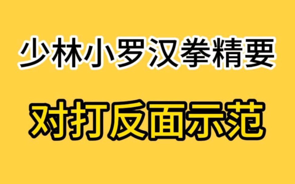 [图]#少林功夫段品制 七段: #少林小罗汉拳精要 对打反面示范欢迎武术爱好者、武馆教练、武术从业者、学生和家长前来#少林寺 #少林功夫段品制接待处考察交流#少林功夫