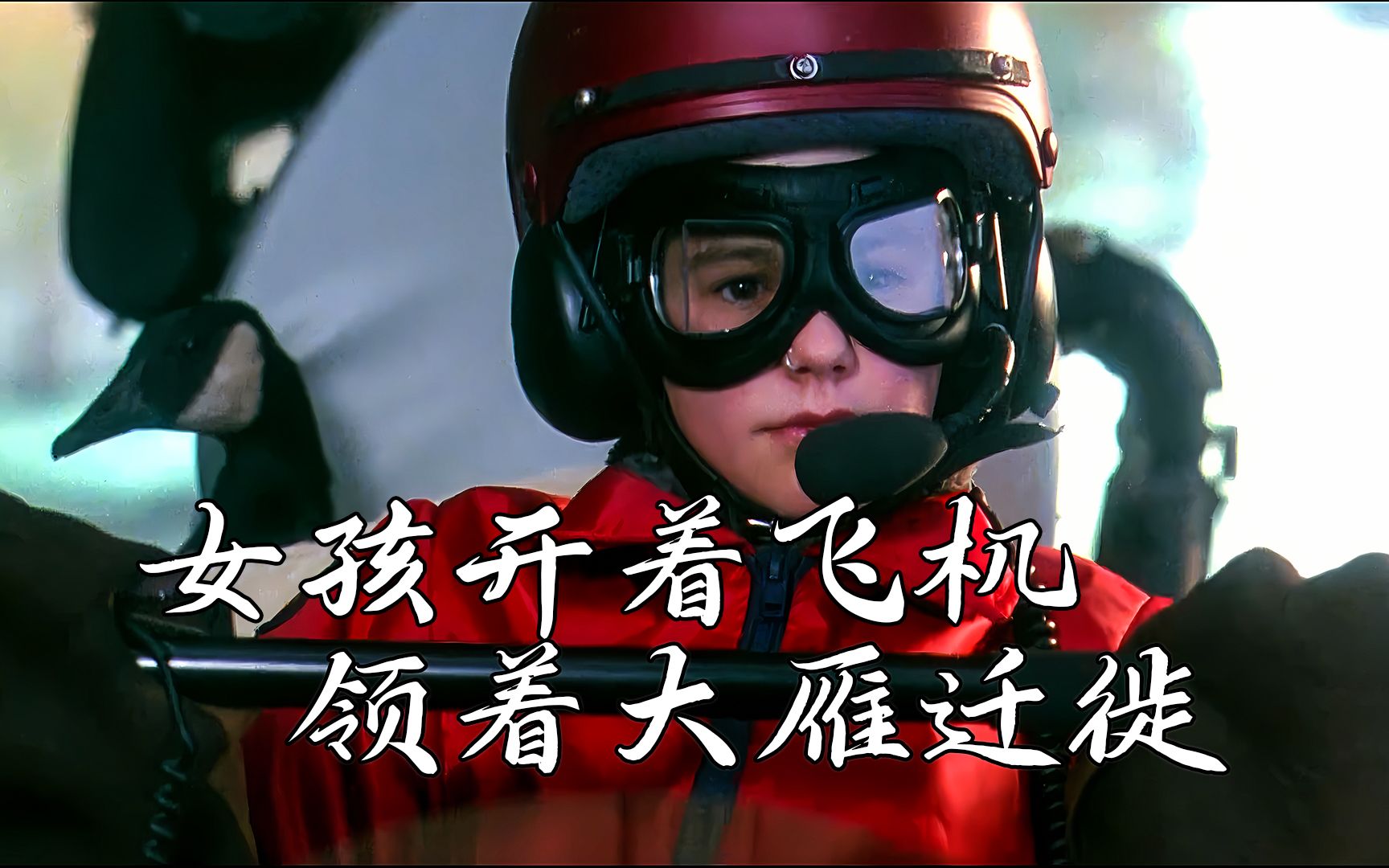 小女孩开飞机,陪着大雁一起飞《伴你高飞》