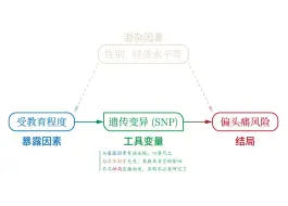 Download Video: 孟德尔随机化 - 从入门到实践 | 自学 | 小白 | 代码 | 原理