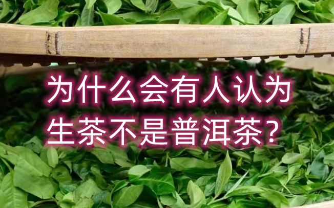 [图]为什么有人认为生茶不是普洱茶？普洱茶标准解读