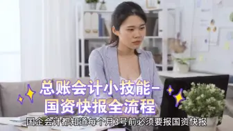 总账会计小技能-国资快报全流程