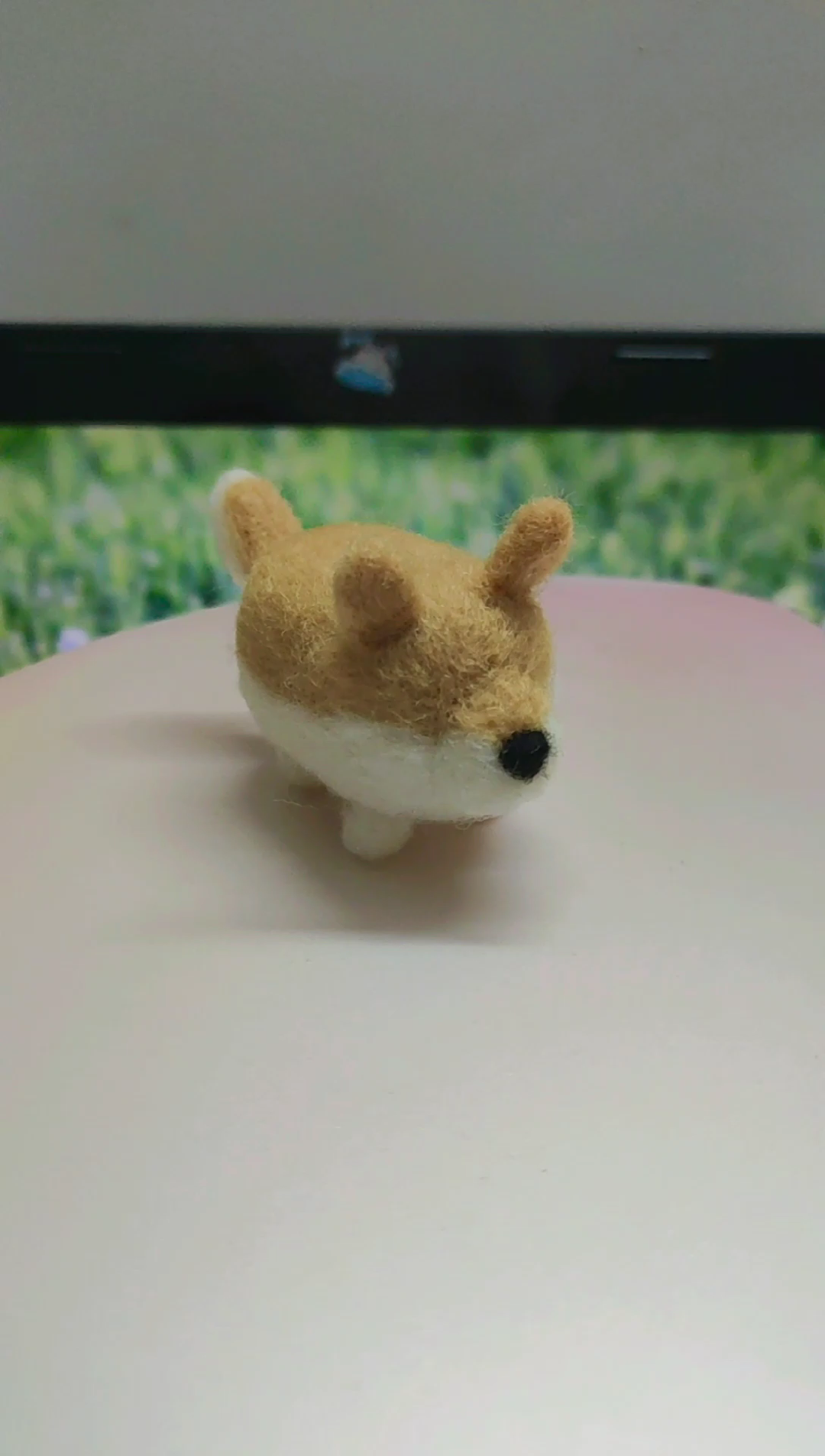 成了是柴无脸柴犬羊毛毡成功dog