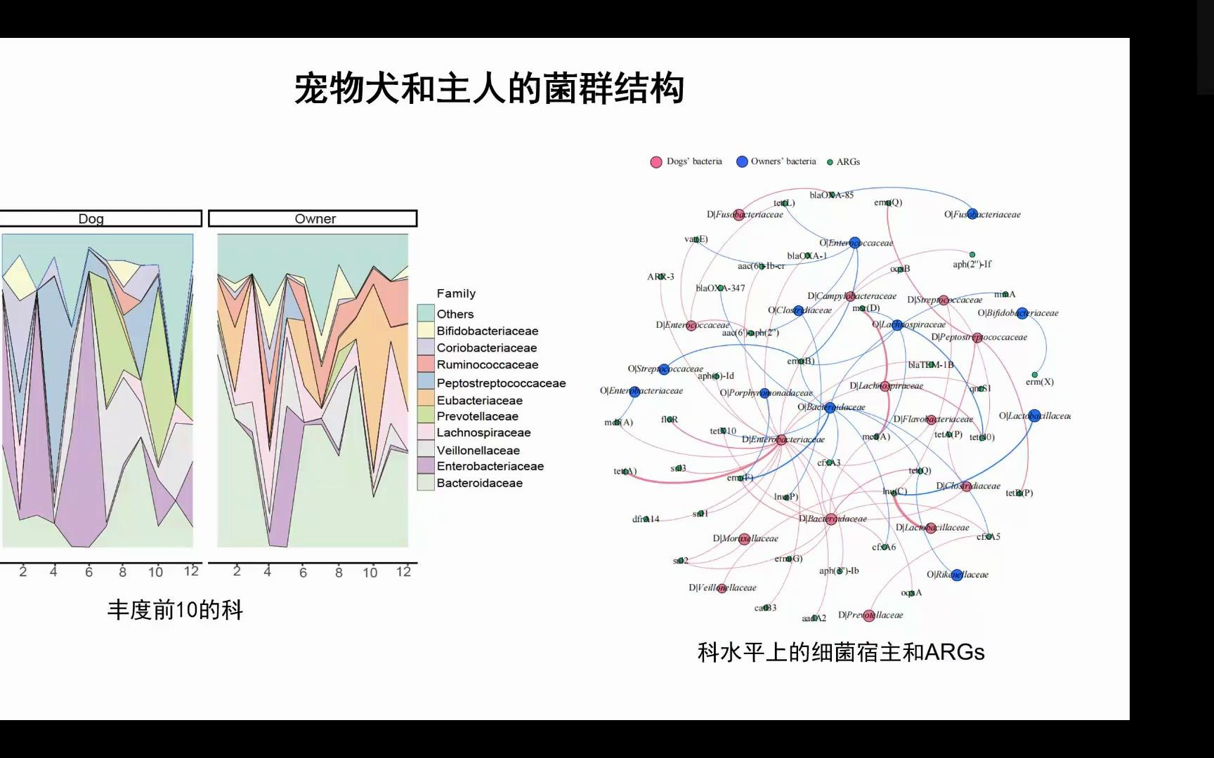 iMeta | 华南农大曾振灵/熊文广等家庭中宠物犬与主人耐药基因的共存研究哔哩哔哩bilibili