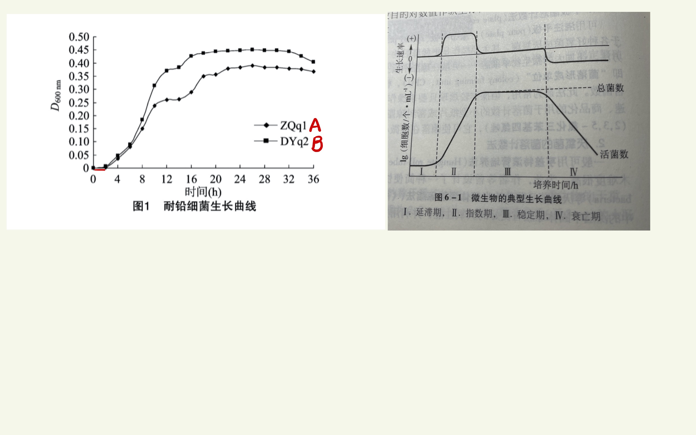 83.微生物学/实验结果分析哔哩哔哩bilibili