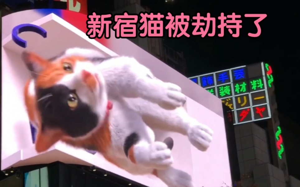 日本新宿大屏幕 新宿猫 逼真3d 夜间实拍