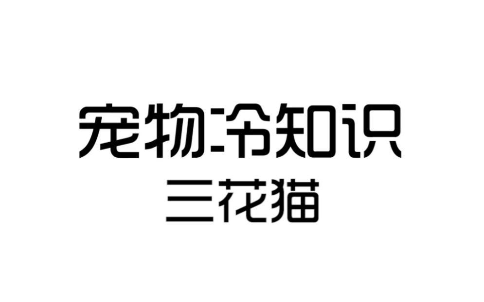 你养的是三花还是玳瑁?哔哩哔哩bilibili