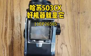 Télécharger la video: 哈苏503CX收藏级成色CF80/2.8一年保修要靠谱成色好的过来