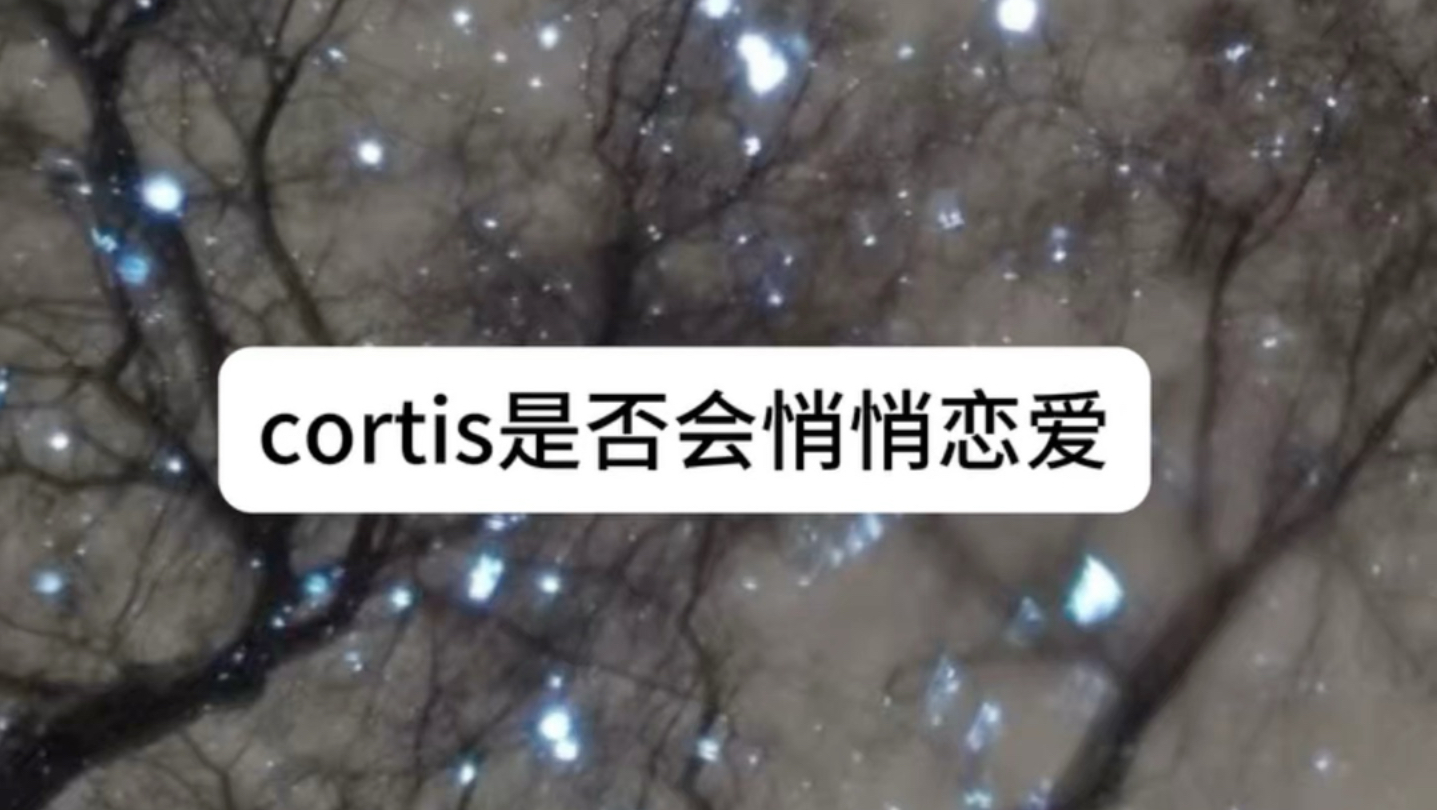 #cortis ｜会吗 还好吧｜大家都是事业脑｜#金主训 #严成玹 #安乾镐 #马丁
