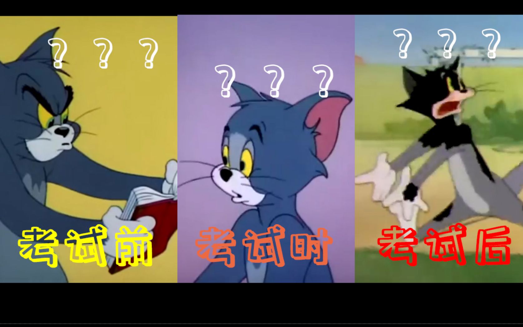 【猫和老鼠】三个问号足以概况我的考试!
