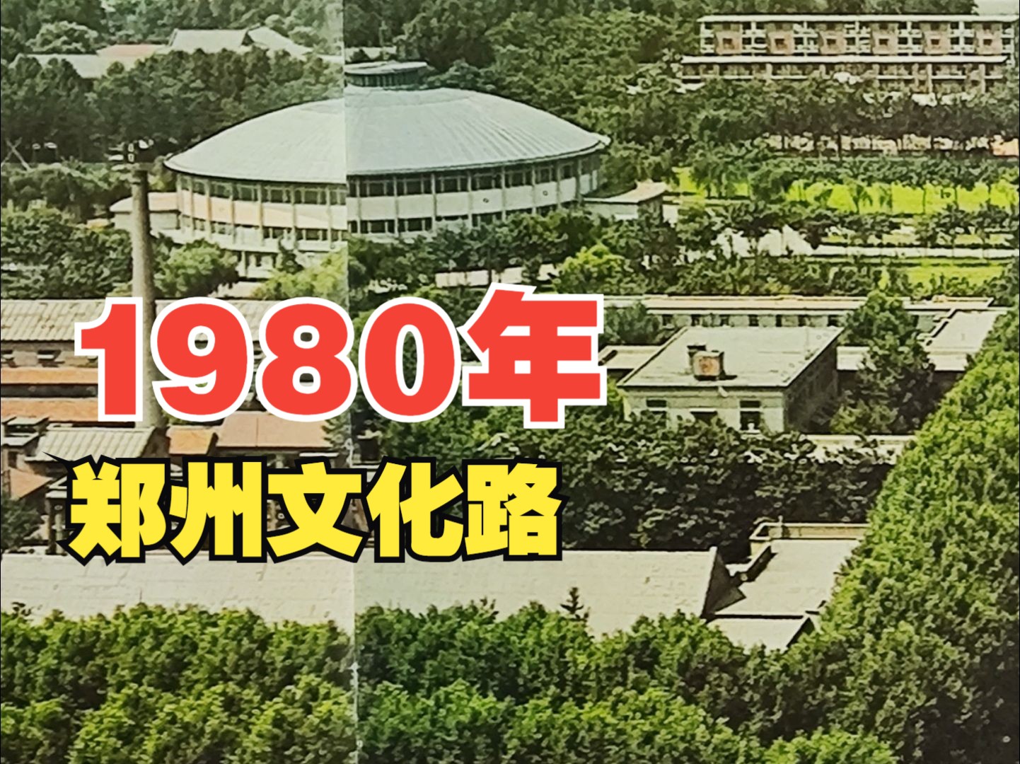 1980年郑州文化路,那时候真是“绿城郑州”哔哩哔哩bilibili